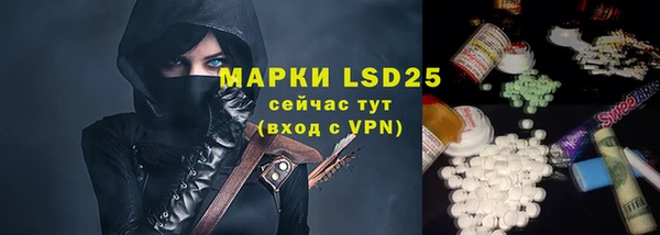 прущие крисы Чердынь
