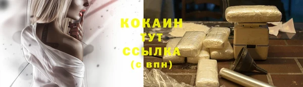 дмт Гусь-Хрустальный