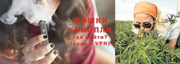 прущие грибы Наволоки