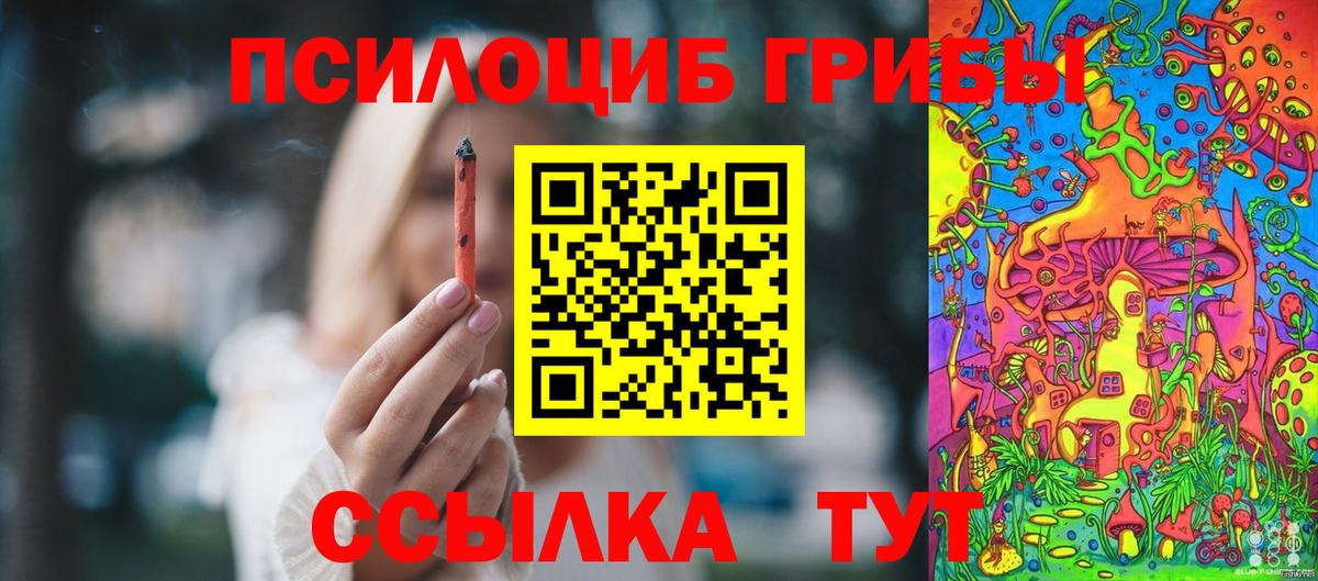 купить наркотики сайты  Минеральные Воды  Галлюциногенные грибы MAGIC MUSHROOMS 